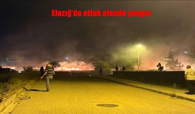 Otluk Alanda Başlayan Yangın Mahalleliyi Tedirgin Etti