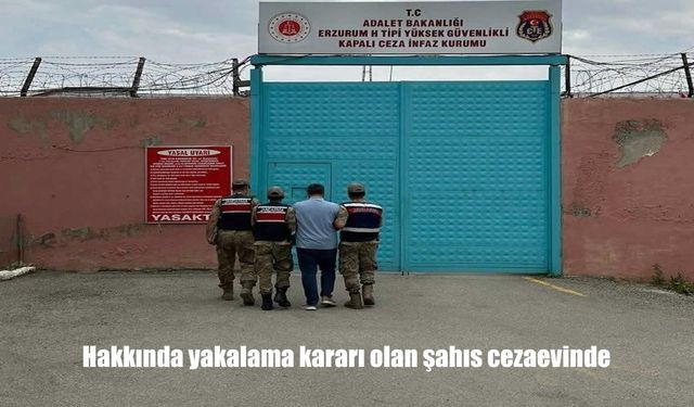 Erzurum’da FETÖ Üyesi Hükümlü Jandarma Operasyonuyla Yakalandı