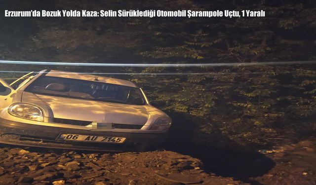 Erzurum'da Bozuk Yolda Kaza: Selin Sürüklediği Otomobil Şarampole Uçtu, 1 Yaralı