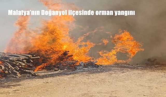 Malatya’nın Doğanyol İlçesinde Korkutan Orman Yangını: Alevler Yerleşim Alanına Sıçradı