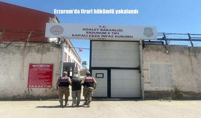 Erzurum’da Firari Hükümlü Jandarmanın Operasyonu ile Yakalandı