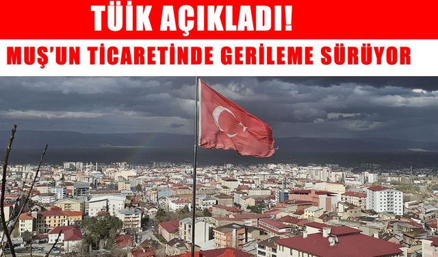 Muş'ta ithalat ve ihracatta düşüş devam ediyor: Temmuz ayı verileri açıklandı