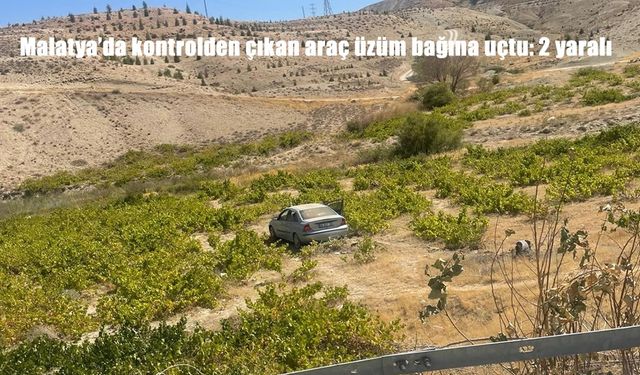 Malatya’da Kontrolden Çıkan Araç Üzüm Bağına Uçtu: 2 Yaralı