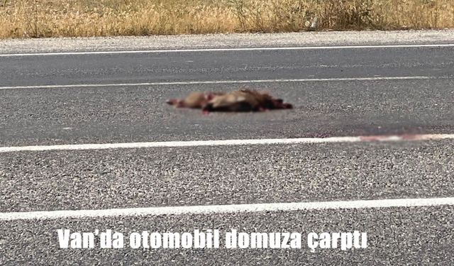 Bölge