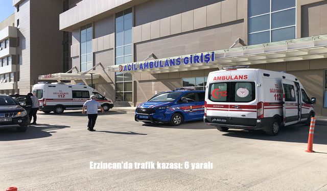 Erzincan Refahiye’de Otomobil Dereye Uçtu: 6 Yaralı