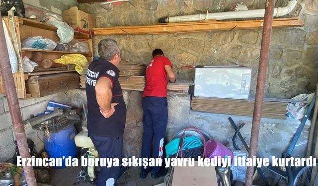 Erzincan’da Boruya Sıkışan Yavru Kedi İtfaiye Ekipleri Tarafından Kurtarıldı