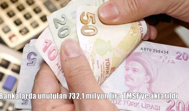 Bankalarda Unutulan 732 Milyon Lira TMSF’ye Aktarıldı: 2,2 Milyon Hesap Zamanaşımına Uğradı