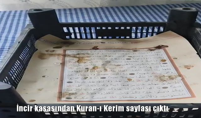 Bitlis-Tatvan’da Satın Alınan İncir Kasasından Kur’an-ı Kerim Sayfası Çıktı