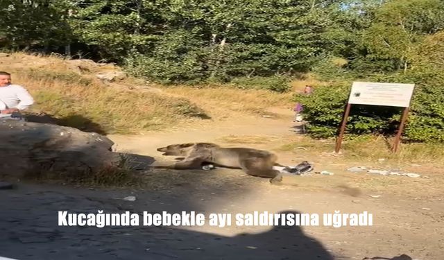 Kucağında bebekle ayı saldırısına uğradı