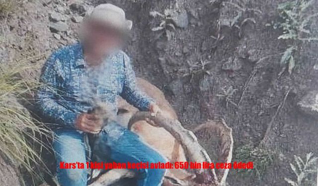 Kars’ta Yaban Keçisi Avlayan Şahsa 658 Bin TL Ceza
