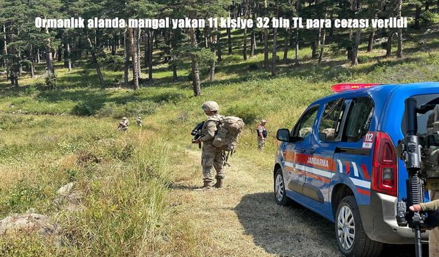 Ormanlık alanda mangal yakan 11 kişiye para cezası