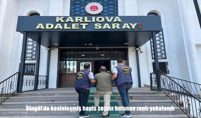 Bingöl'de Kesinleşmiş Hapis Cezası Olan Zanlı Jandarma Ekiplerince Yakalandı