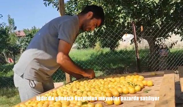 Iğdır’da 40 Derece Sıcakta Kurutulan Meyveler Pazara İniyor