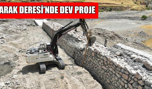 DSİ’den Muş Arak Deresi’nde dev proje