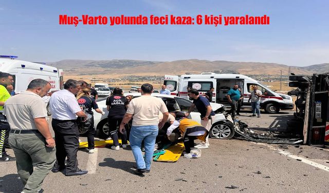 Muş-Varto kara Yolunda Kaza: 6 Kişi Yaralı