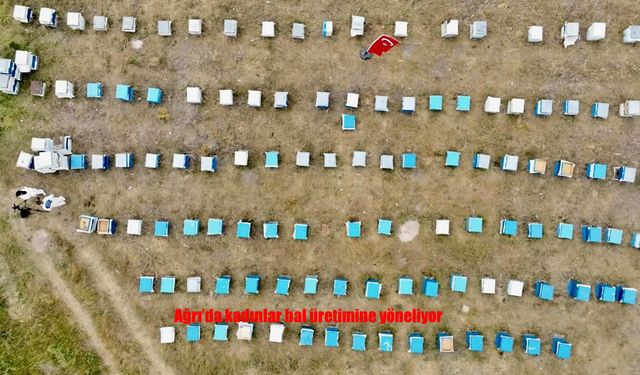 Ağrı’da Kadınların Bal Üretimindeki Yükselişi Dikkat Çekiyor