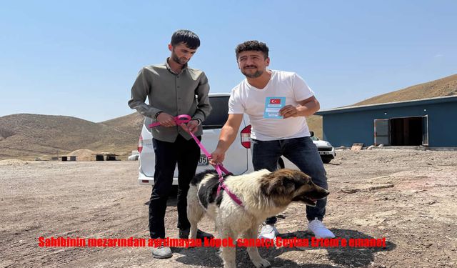 Sadık Köpek, Sanatçı Ceylan Ertem’e Emanet Edildi