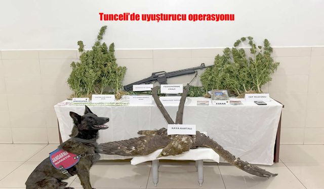 Tunceli’de Uyuşturucu ve Kaçak Avcılık Operasyonu: Çok Sayıda Madde Ele Geçirildi