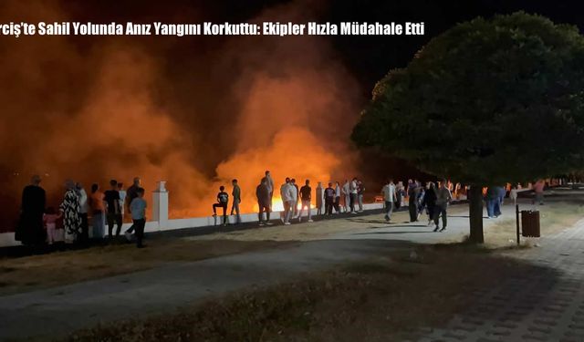 Erciş’te Sahil Yolunda Anız Yangını Korkuttu: Ekipler Hızla Müdahale Etti