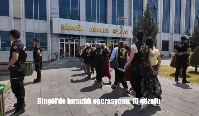 Bingöl'de Hırsızlık Operasyonu: 10 Şüpheli Gözaltına alındı