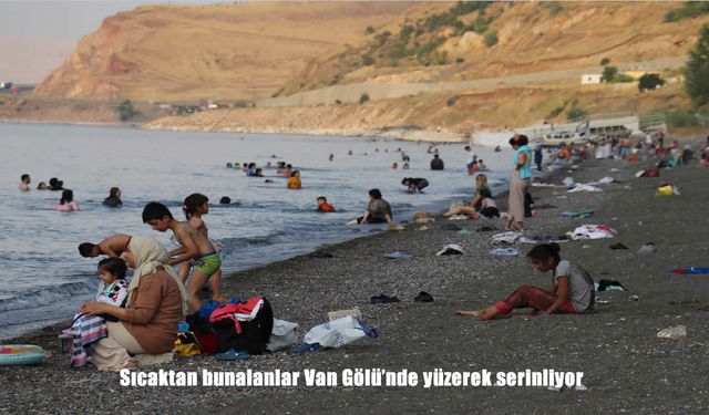 Van Gölü Sahillerinde Serinlemek İçin Akın Var