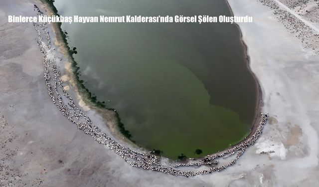 Binlerce Küçükbaş Hayvan Nemrut Kalderası’nda Görsel Şölen Oluşturdu