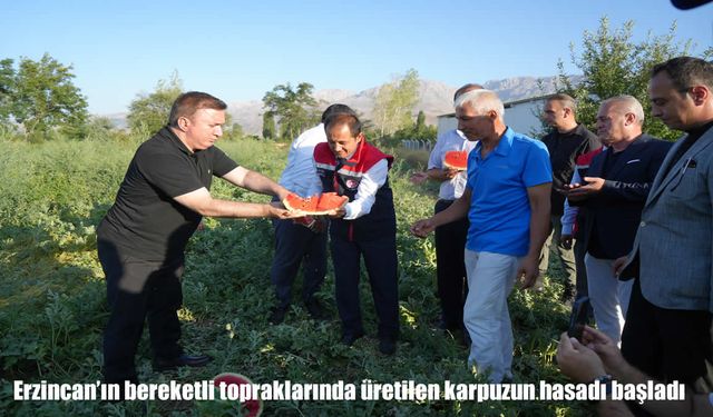 Erzincan'da Karpuz Hasadı Sevinci