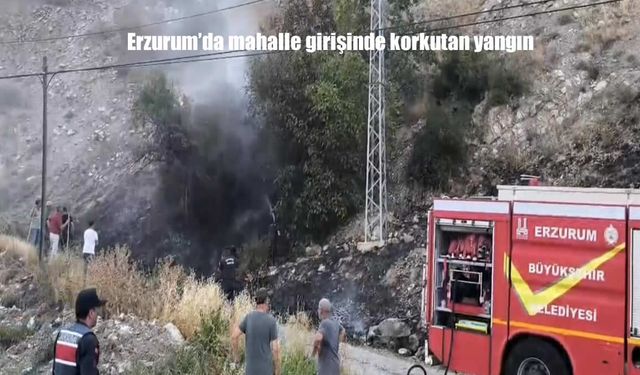 Erzurum-Artvin Karayolu Üzerinde Çıkan Yangın Mahalleliyi Ayağa Kaldırdı