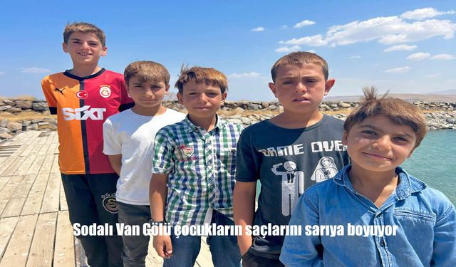Van Gölü'nün Sodalı Suyu ve Güneşin Gücü: Çocukların Saçlarında Doğal Renk Değişimi
