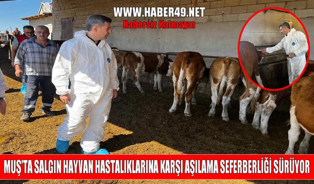 Muş’ta hayvan sağlığı için aşı seferberliği sürüyor