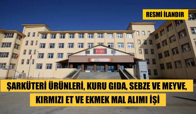 MESLEKİ VE TEKNİK ANADOLU LİSESİ - BULANIK BORSA İSTANBUL MİLLİ EĞİTİM BAKANLIĞI BAKAN YARDIMCILIKLARI