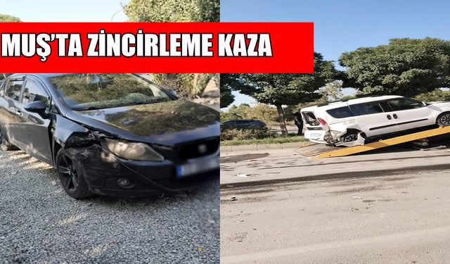 Muş-Hasköy yolunda zincirleme kaza