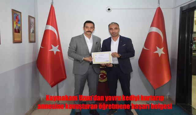 Yavru Kediyi Annesine Kavuşturan Öğretmene Kaymakamdan Başarı Belgesi