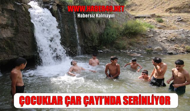 Muş'ta kavurucu sıcaklar: Çocuklar serinlemek için Çar Çayı’na koştu