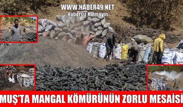 Muş’ta mangal kömürü üreticilerinin 40 derecede zorlu mesaisi