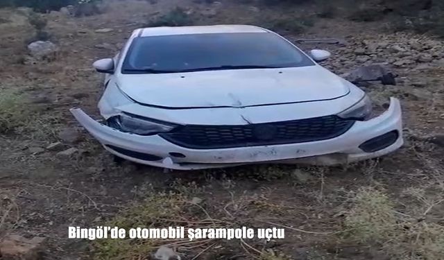 Bingöl’de otomobil şarampole uçtu: Çok sayıda yaralı