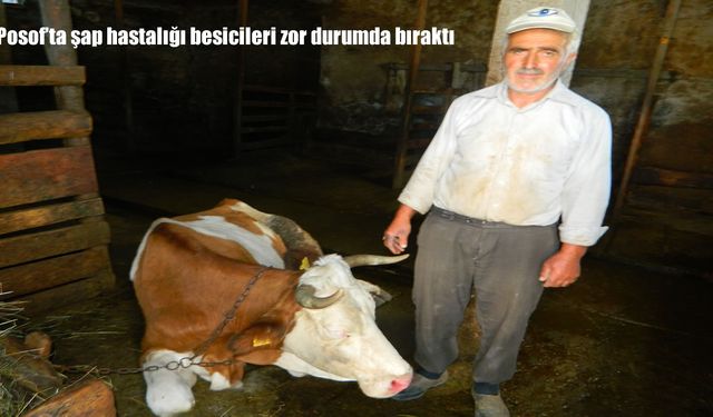 Posof’ta şap hastalığı yayılıyor: Besiciler zor durumda