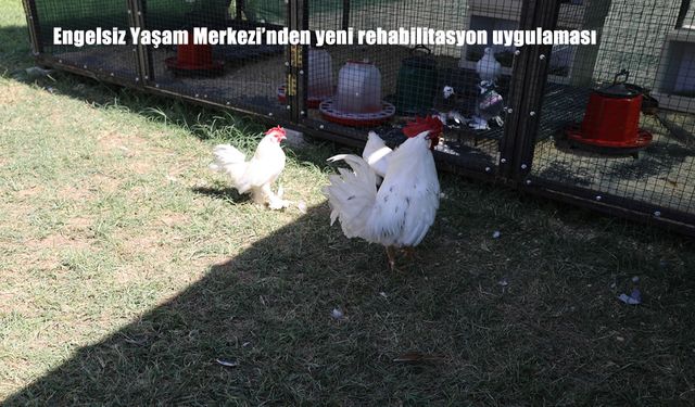 Engelsiz Yaşam Merkezi’nden Özel Rehabilitasyon: Hayvanlarla Tedavi Başladı