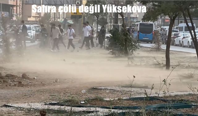 Sahra Çölü Değil, Yüksekova: Toz Bulutları İlçeyi Teslim Aldı