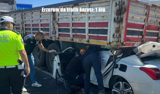 Erzurum’da Feci Kaza: Park Halindeki Tıra Çarpan Genç Sürücü Hayatını Kaybetti