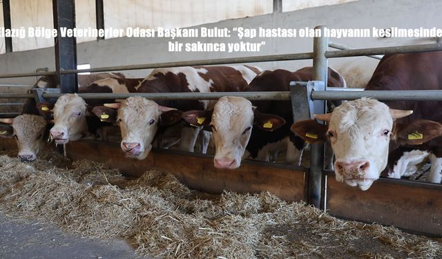 Elazığ’da Şap Hastalığı Açıklaması: “Hastalığa Yakalanan Hayvanların Kesiminde Sakınca Yok”