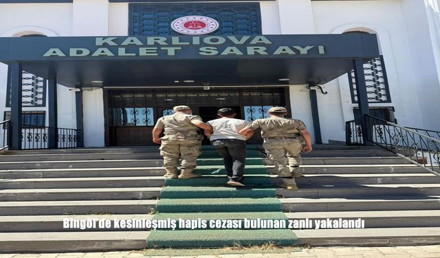 Bingöl’de Kesinleşmiş Hapis Cezası Bulunan Zanlı Jandarma Tarafından Yakalandı