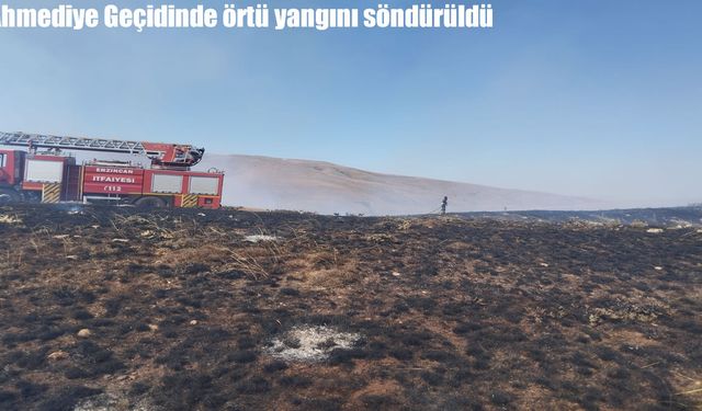 Erzincan Ahmediye Geçidi’nde örtü yangını söndürüldü