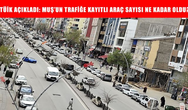 Muş’ta trafiğe kayıtlı araç sayısı açıklandı
