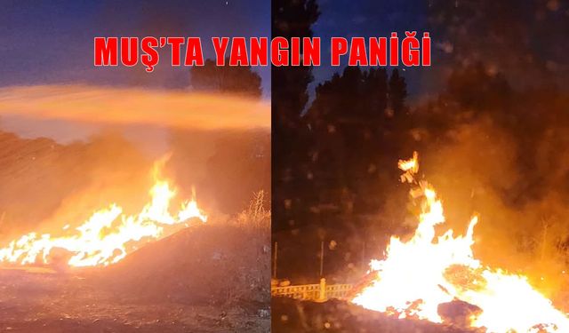 Muş’ta anız yangını çıktı