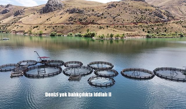 Denizi Olmayan Erzincan, Balıkçılıkta Türkiye’ye Örnek Oluyor