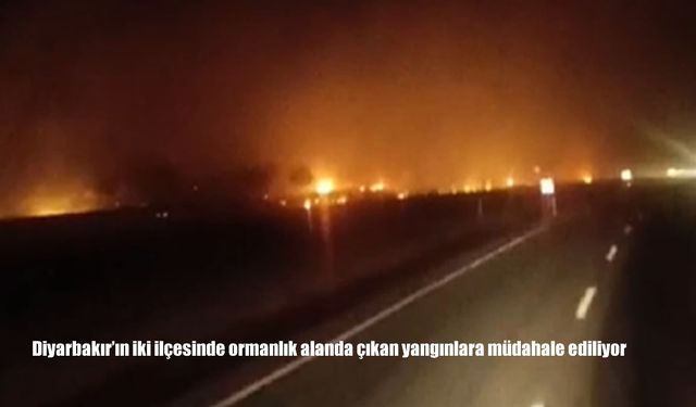 Diyarbakır Hani ve Lice'de orman yangınına müdahale sürüyor
