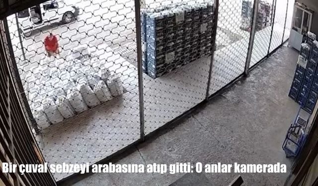 Elazığ'da sebze hırsızlığı kamerada