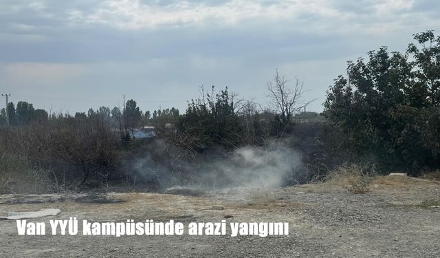Van YYÜ kampüsünde arazi yangını