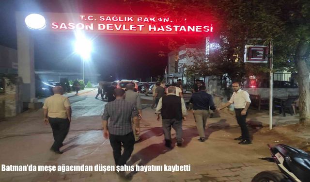 Batman’da meşe ağacından düşen şahıs hayatını kaybetti